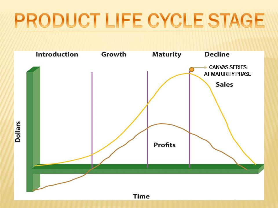 Micromax Product Life Cycle