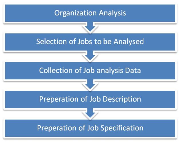 Utility of job analysis includes