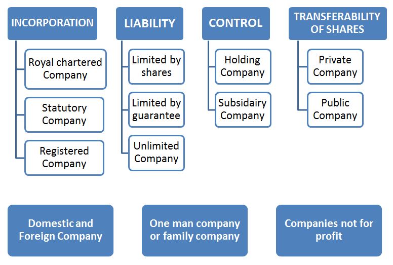 Chart Of Different Business Entities