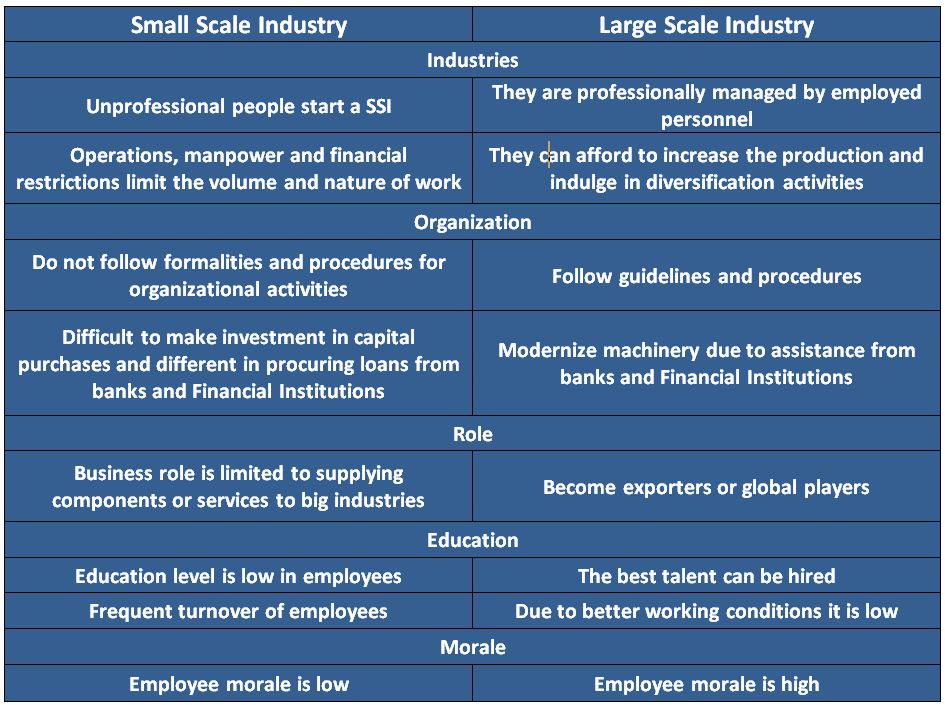 difference between small and large business