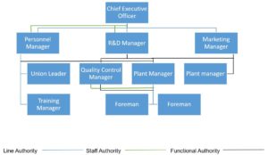 Organization Design - Types of Organization Structure - BBA|mantra