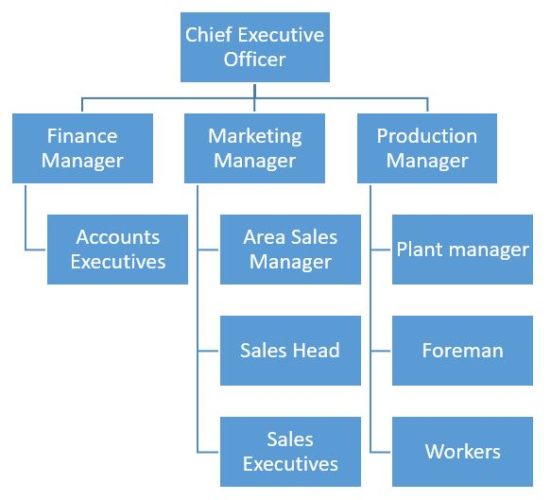 Organization Design - Types of Organization Structure - BBA|mantra