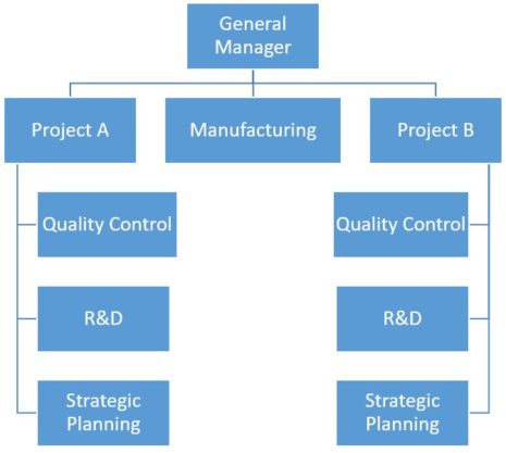 Organization Design - Types of Organization Structure - BBA|mantra